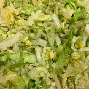 スタミナ白菜サラダ